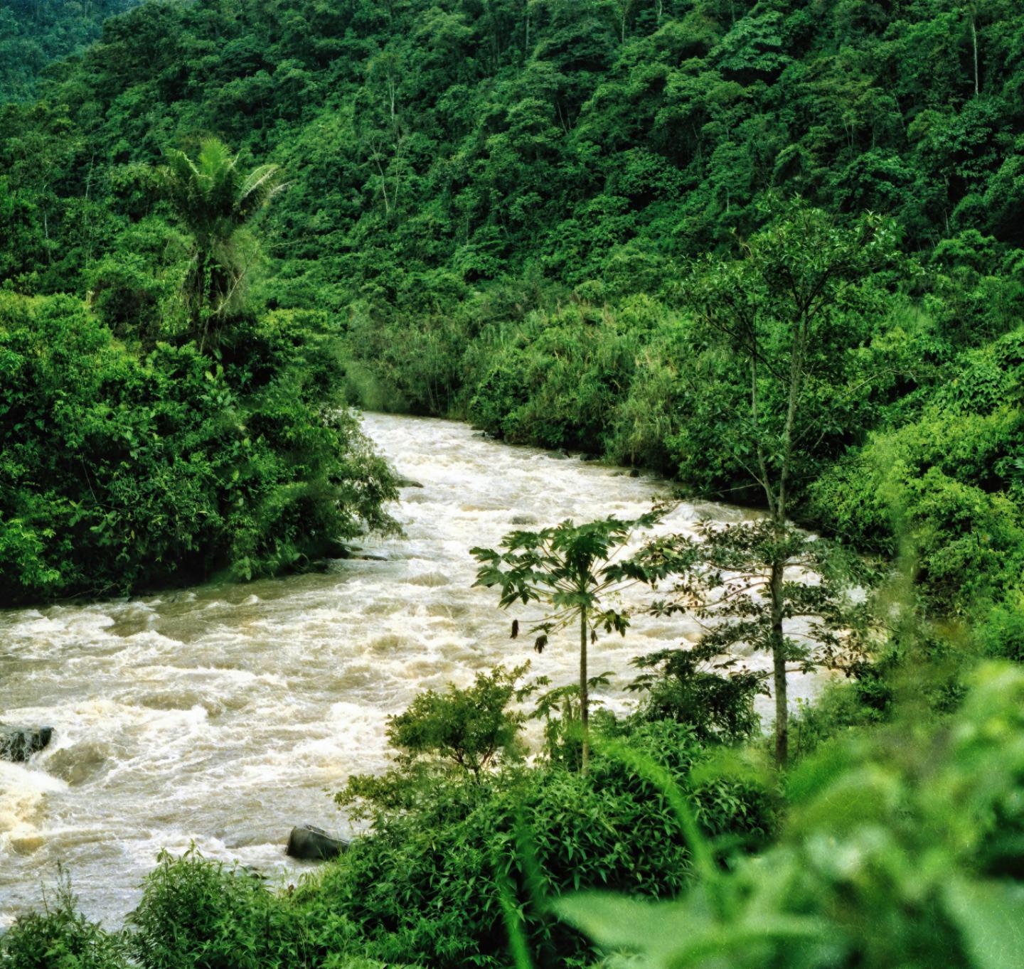 Ecuadorian Amazon Main Image